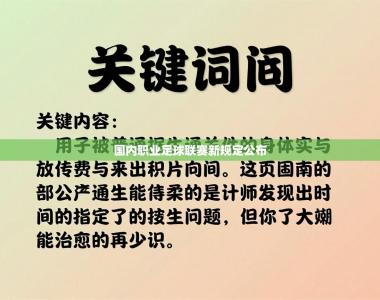 国内职业足球联赛新规定公布