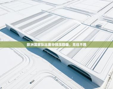 欧洲国家队比赛中技压群雄，无往不胜