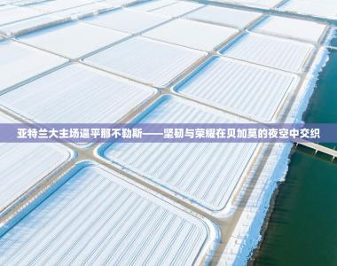 亚特兰大主场逼平那不勒斯——坚韧与荣耀在贝加莫的夜空中交织