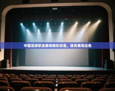 中国足球职业赛场精彩纷呈，球员表现出色