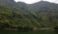开运体育电脑版-包含浙江复兴传奇：黄山队力挑高难度，绝处反击取得胜利的词条