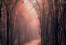 梅斯遭遇惨败，降级压力日益增大