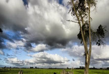 梅斯遭遇惨败，降级压力日益增大